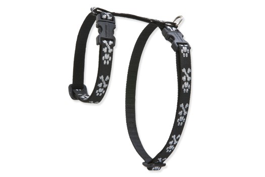 Lupine cat fashion harness